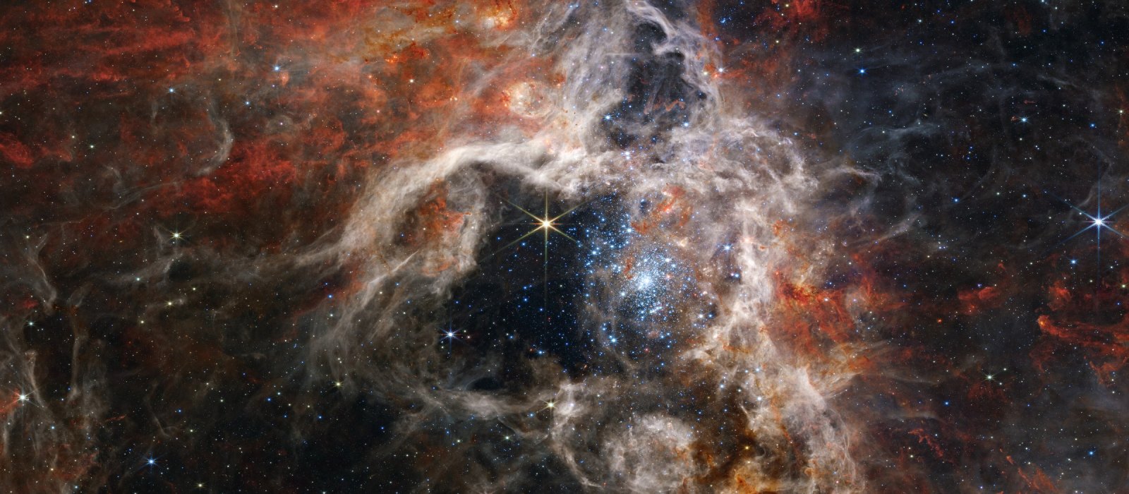 The Tarantula Nebula in the Large Magellanic Cloud seen by the James Webb Space Telescope: a cluster of young massive stars inside a cavity it has blown into the surrounding gas and dust